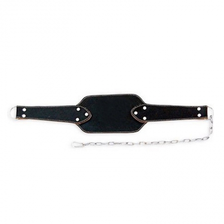 Dip Belt